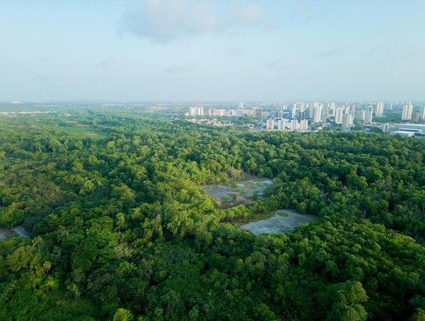 L'impact des jeunes générations sur les mouvements sociaux contemporains : rôles et influences